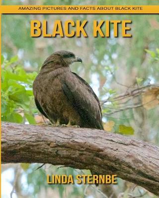 Book cover for Black Kite