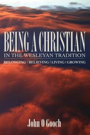 Cover of Being a Christian in the Wesleyan Tradition