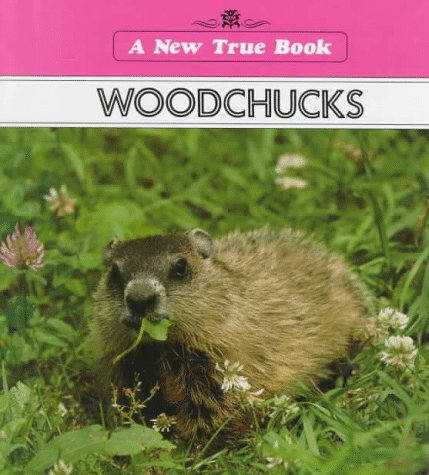 Book cover for Woodchucks