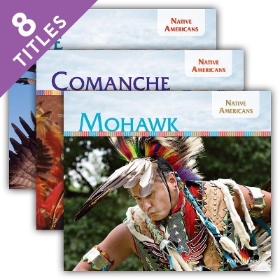 Book cover for Native Americans Set 4 (Set)
