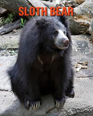 Book cover for Sloth Bear