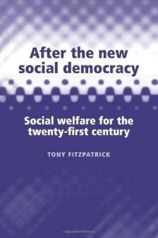 Cover of After the New Social Democracy