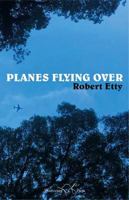 Book cover for Planes Flying Over