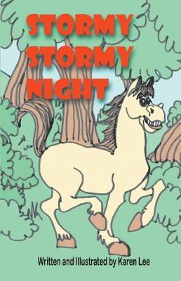 Book cover for Stormy Stormy Night