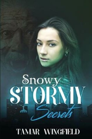 Cover of Snowy Stormy Secrets