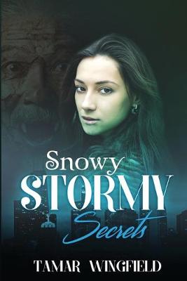 Book cover for Snowy Stormy Secrets