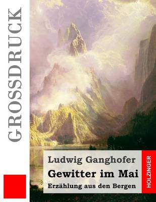 Book cover for Gewitter im Mai (Großdruck)