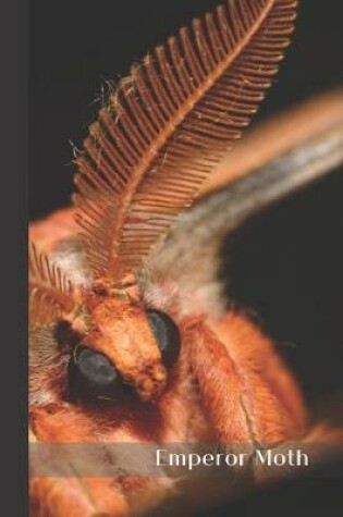 Cover of Emperor Moth
