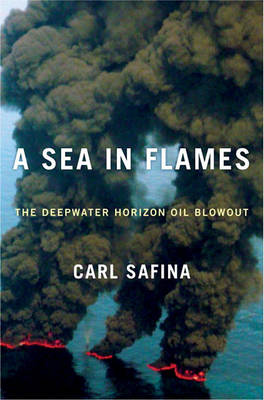 Book cover for A Sea in Flames