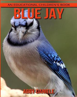 Book cover for Blue Jay! An Educational Children's Book about Blue Jay with Fun Facts & Photos