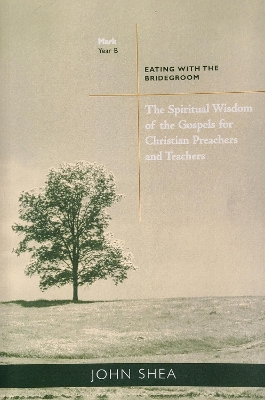 Book cover for The Spiritual Wisdom of Gospels for Christian Preachers and Teachers