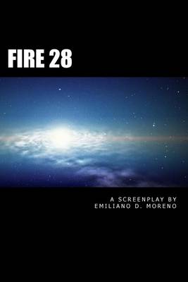 Book cover for Fire 28