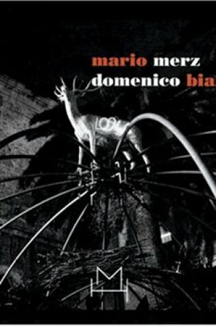 Cover of Domenico Bianchi and Mario Merz