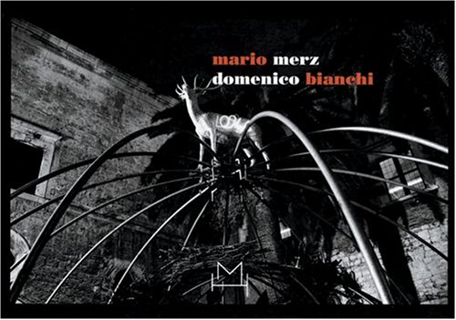 Book cover for Domenico Bianchi and Mario Merz