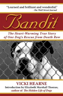 Book cover for Bandit