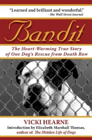 Cover of Bandit