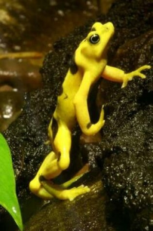 Cover of Golden Frog Climbing Journal