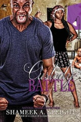 Cover of Custody Battle
