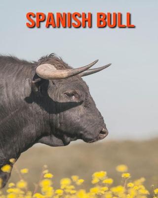 Book cover for Spanish Bull