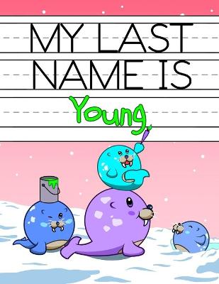 Book cover for My Last Name is Young