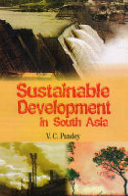 Book cover for Sustainable Development in South Asia