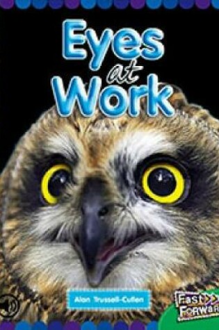 Cover of Eyes at Work