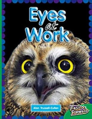 Book cover for Eyes at Work