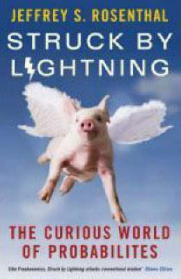 Book cover for Struck By Lightning