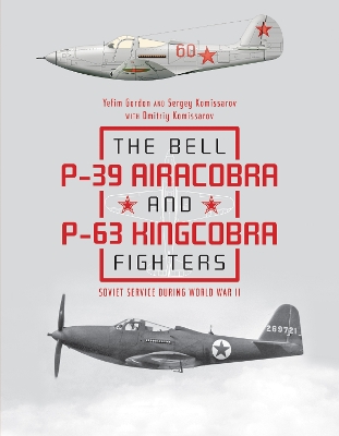 Book cover for Bell P39 Airacobra and P63 Kingcobra Fighters: Soviet Service during World War II