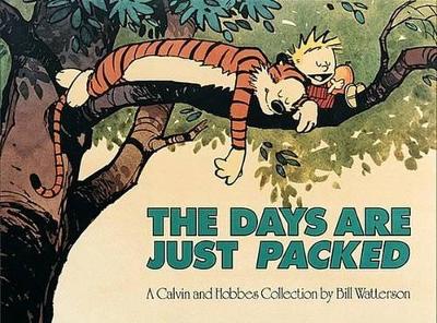 Book cover for The Days Are Just Packed