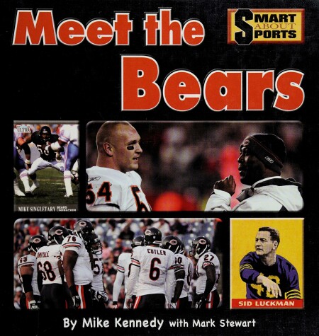 Book cover for Meet the Bears