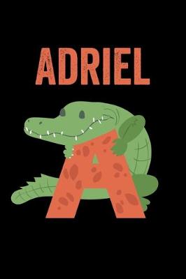 Book cover for Adriel