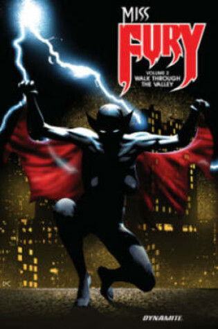 Cover of Miss Fury Volume 2