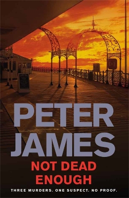 Cover of Not Dead Enough