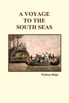 Book cover for A Voyage to the South Seas (Paperback)