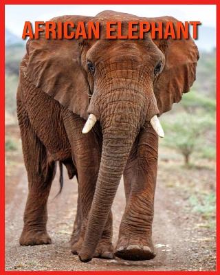 Book cover for African Elephant