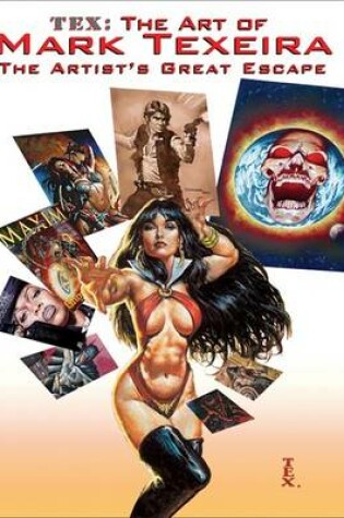 Cover of Tex Art of Mark Texeira Hc