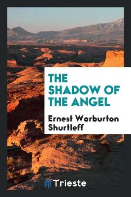 Book cover for The Shadow of the Angel