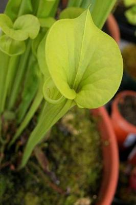 Cover of Floral Journal Potted Trumpet Pitcher Plant