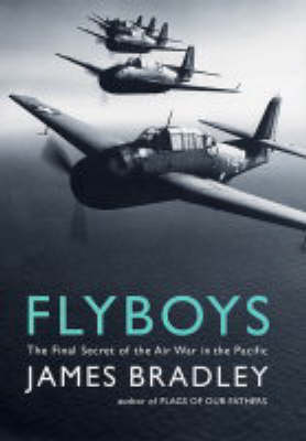 Book cover for Flyboys