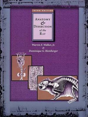 Book cover for Anatomy and Dissection of the Rat