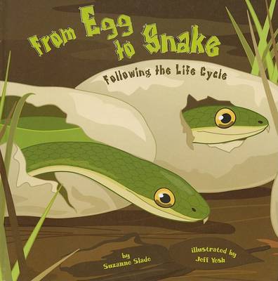 Cover of From Egg to Snake