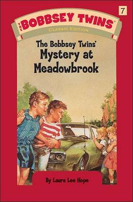 Book cover for The Bobbsey Twins' Mystery at Meadowbrook