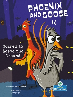 Book cover for Scared to Leave the Ground