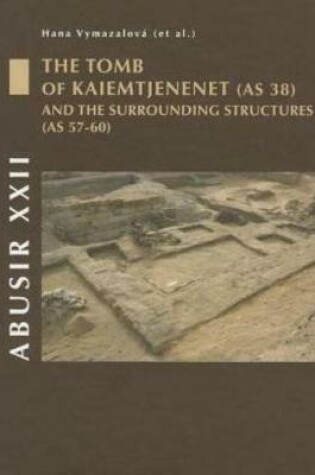 Cover of Abusir XXII