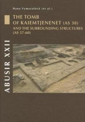 Book cover for Abusir XXII