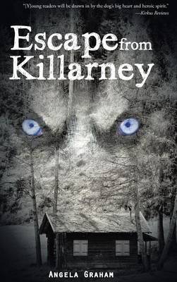 Book cover for Escape from Killarney
