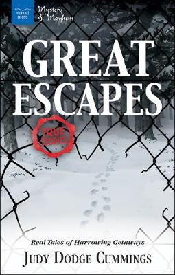 Book cover for Great Escapes