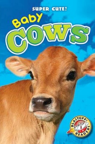 Cover of Baby Cows