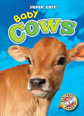 Book cover for Baby Cows